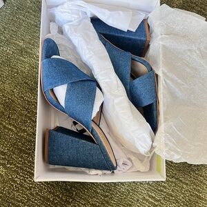 Blue Denim Schutz Women's Heels